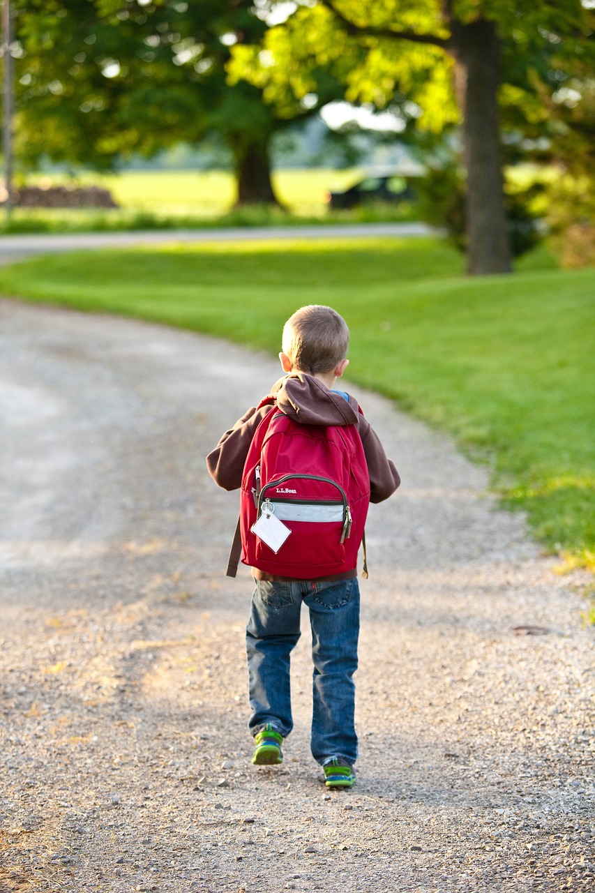 découvrez le concept d'« entrepreneurial backpack », un outil innovant destiné aux entrepreneurs modernes. ce sac allie praticité et style, offrant des rangements polyvalents pour transporter vos essentiels professionnels tout en vous accompagnant dans vos aventures d'affaires. idéal pour maximiser votre productivité en déplacement.